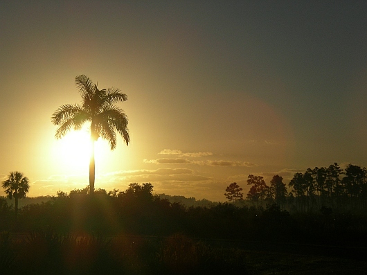 2009-01-10+07_30_23.JPG