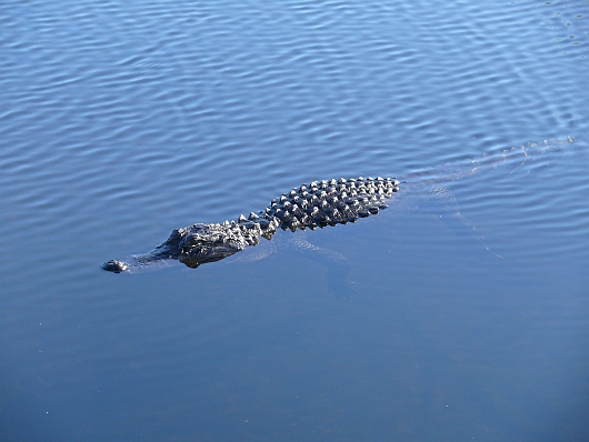 2009-01-10+08_49_54.JPG