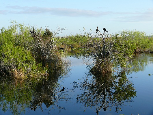 2009-01-11+08_25_23.JPG