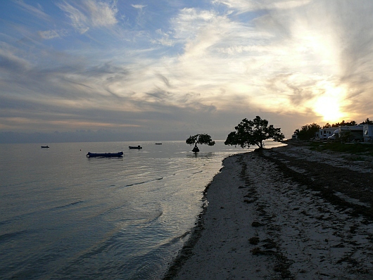 2009-01-11+17_37_52.JPG