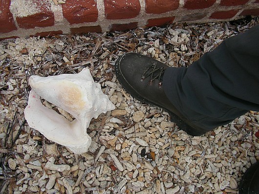 2009-01-13+15_58_44.JPG