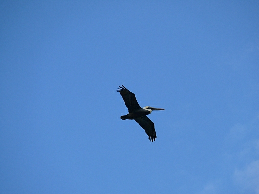 2009-01-14+07_54_08.JPG
