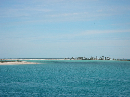 2009-01-14+14_39_48.JPG