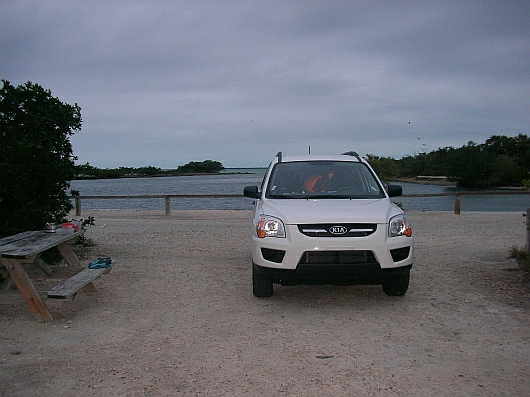 2009-01-15+07_10_19.JPG
