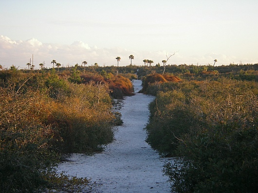 2009-01-17+17_25_59.JPG