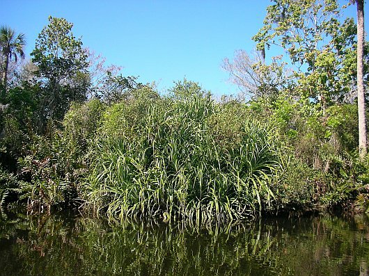 2009-01-18+12_21_25.JPG