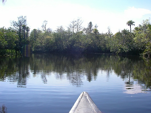2009-01-18+12_21_30.JPG