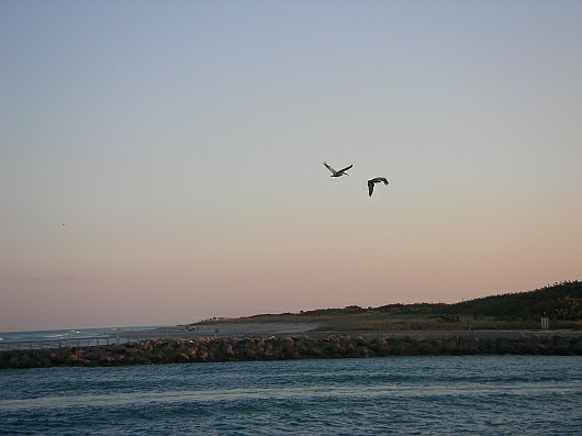 2009-01-19+17_34_41.JPG