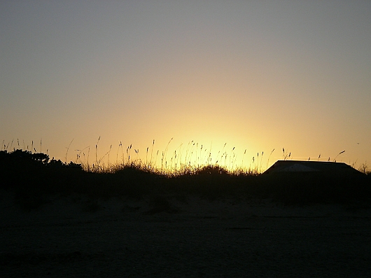 2009-01-19+17_40_39.JPG