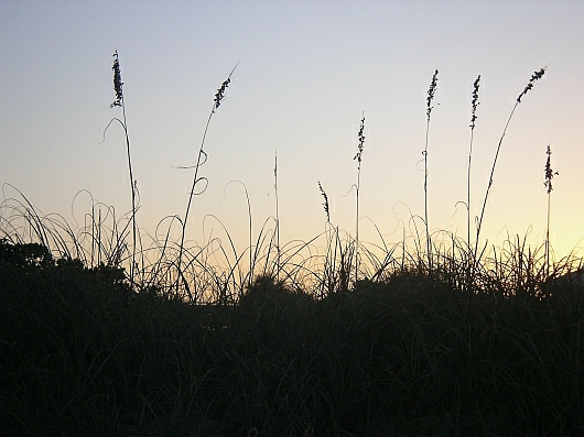 2009-01-19+17_44_52.JPG