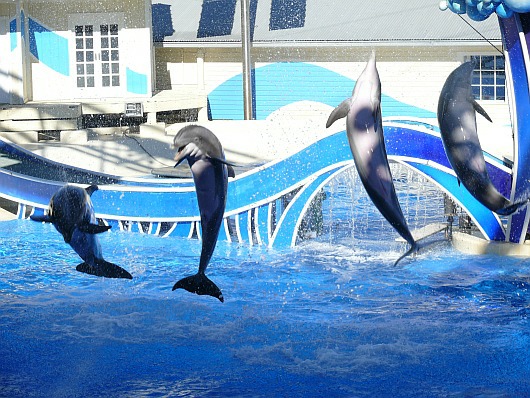 2009-01-20+14_44_11.JPG