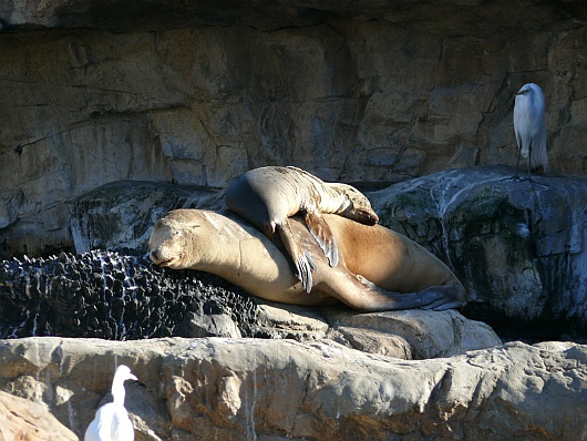 2009-01-20+16_00_42.JPG