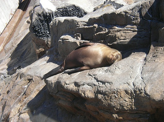 2009-01-22+13_01_17.JPG