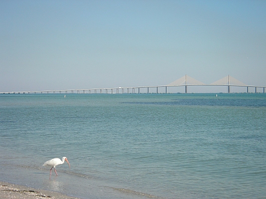 2009-01-23+15_20_29.JPG