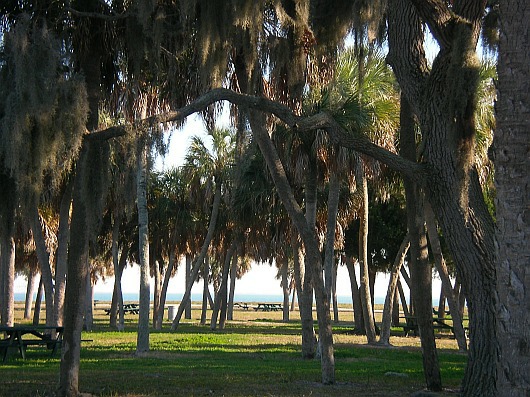 2009-01-23+16_26_36.JPG