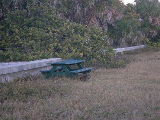 2009-01-23+17_56_15.JPG