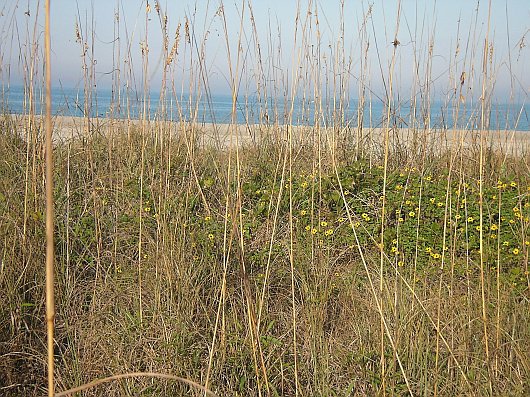 2009-01-25+08_48_09.JPG