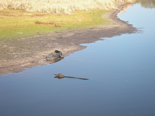 2009-01-25+12_16_53.JPG