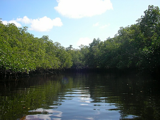 2009-01-28+11_33_41.JPG