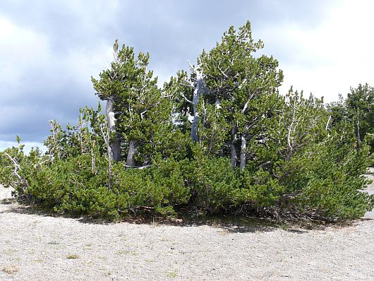 2010-08-29+12_33_19.jpg