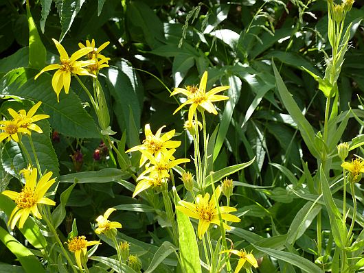 2010-08-29+13_42_27.jpg