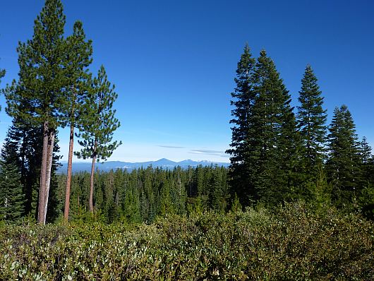 2010-08-31+08_55_49.jpg