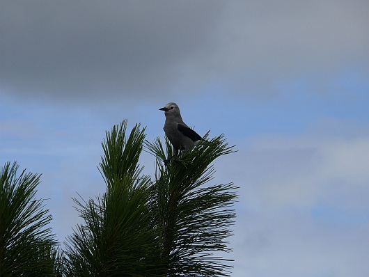 2010-08-31+14_21_30.jpg