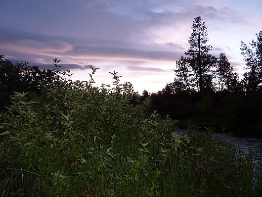 2010-08-31+19_54_19.jpg