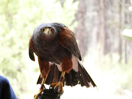 2010-09-01+13_16_29.jpg