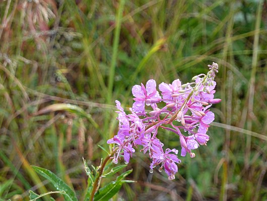 2010-09-07+13_06_13.jpg