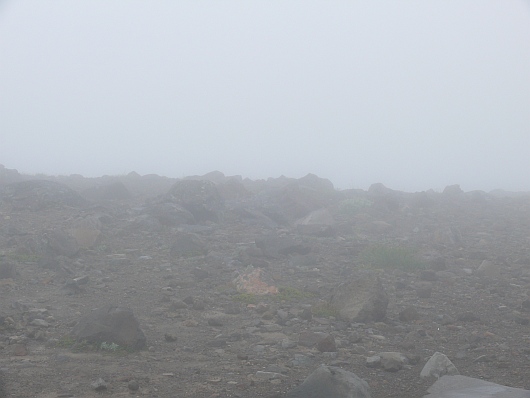 2010-09-10+10_49_50.jpg