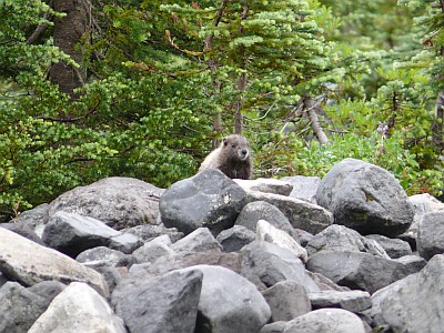 2010-09-10+12_31_39.jpg