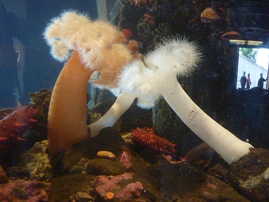 2010-09-12+14_09_55.jpg