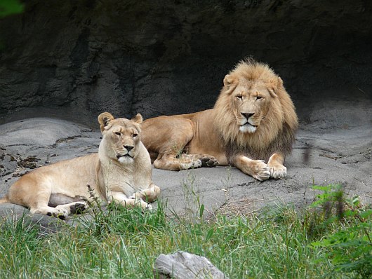 2010-09-14+10_31_54.jpg