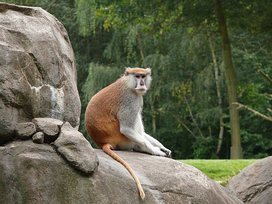 2010-09-14+10_36_24.jpg