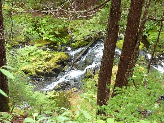 2010-09-16+11_06_36.jpg