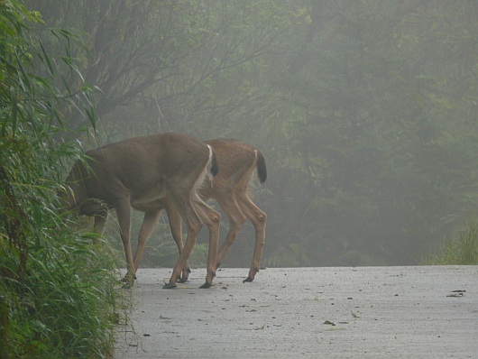 2010-09-19+08_49_45.jpg