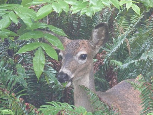 2010-09-19+08_52_32.jpg