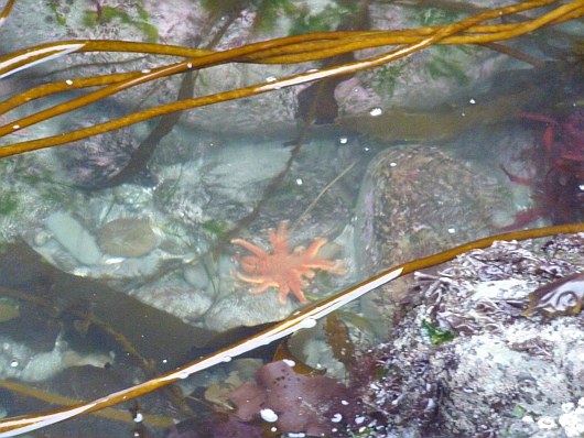2010-09-23+18_45_05.jpg