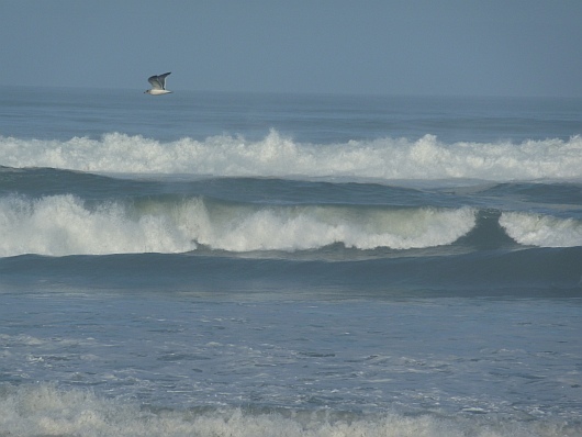 2010-09-26+08_33_53.jpg