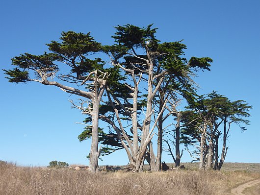 2010-09-28+11_31_12.jpg