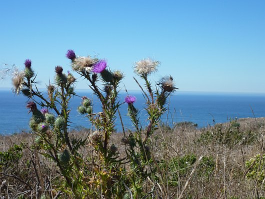 2010-09-28+12_23_45.jpg