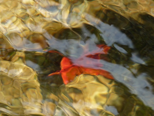2012_09_06-11_16_31.jpg