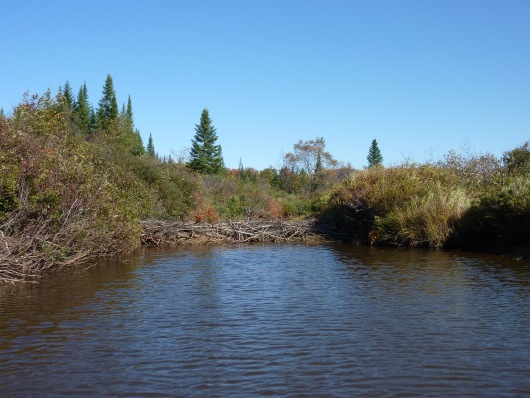 2012_09_25-10_28_36.jpg