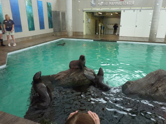 2012_10_03-12_47_25.jpg