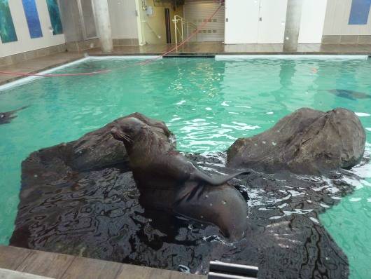 2012_10_03-12_51_41.jpg