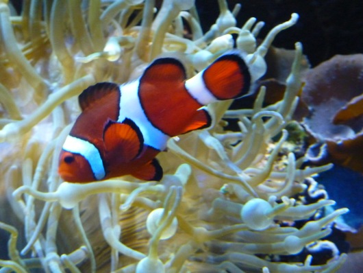 2012_10_03-13_25_00.jpg