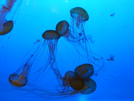 2012_10_03-14_27_53.jpg