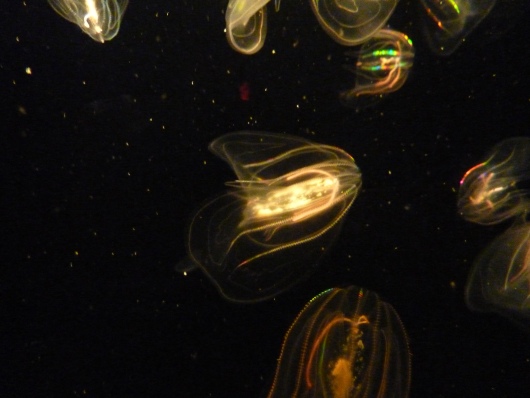 2012_10_03-15_45_56.jpg
