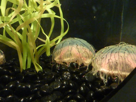 2012_10_03-15_46_56.jpg
